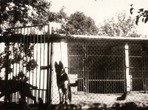 Eda and Eszi rok 1991
