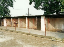 kojce
