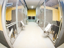 kojec_w_budynku_napor_3