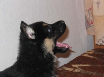 open mouth