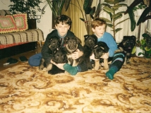 rok 1995