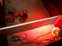 Welpen in den Kreißsaal