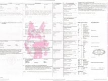 aiko-schwarze-einigkeit-photo-1-pedigree-working-german-shepherd-breeding-napor
