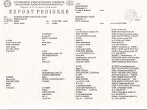 bob_cul-bo_sk_front_page