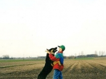 bond-cul-bo-year-2000-photo-1-working-german-shepherd-breeding-napor