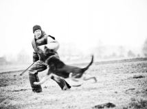 chris-from-daskon-photo-1-working-german-shepherd-breeding-napor