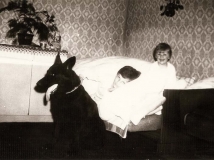 eszi-napor-1991-year-photo-1-working-german-shepherd-breeding-napor