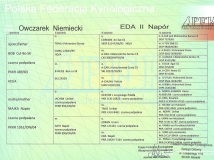 eda-ii-napor-female-dog-pedigree-2-working-german-shepherds-breeding-napor