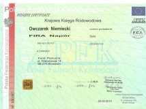 fira-napor-female-dog-pedigree-1-working-german-shepherds-breeding-napor