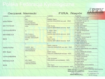 fira-napor-female-dog-pedigree-2-working-german-shepherds-breeding-napor
