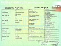 gita-napor-female-dog-pedigree-2-working-german-shepherds-breeding-napor