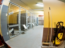 box-in-napor-kennel-photo-2-working-german-shepherd-breeding-napor