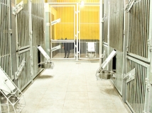 box-in-napor-kennel-photo-working-german-shepherd-breeding-napor