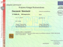 tima-napor-pedigree-1-female-dog-working-german-shepherd breeding-napor