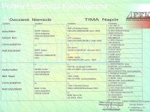 tima-napor-pedigree-2-female-dog-working-german-shepherd breeding-napor